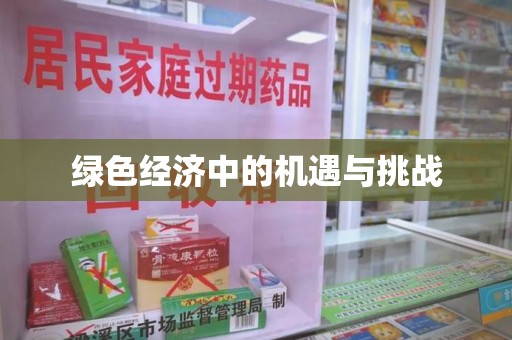 上海绿色经济中的机遇与挑战