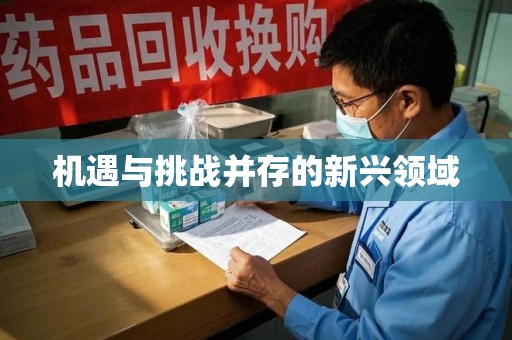 上海机遇与挑战并存的新兴领域
