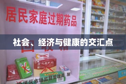 上海社会、经济与健康的交汇点