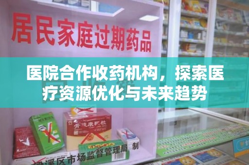 上海医院合作收药机构，探索医疗资源优化与未来趋势