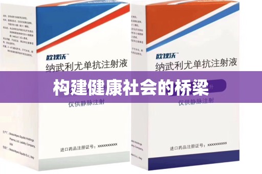 上海构建健康社会的桥梁