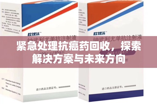 上海紧急处理抗癌药回收，探索解决方案与未来方向