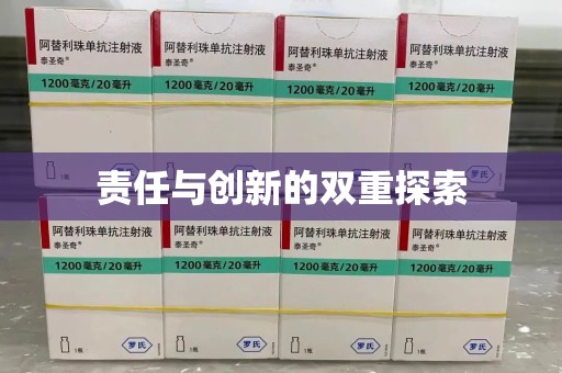 上海责任与创新的双重探索