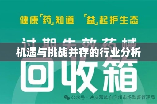 上海机遇与挑战并存的行业分析