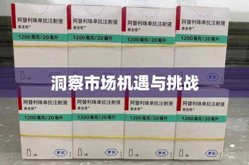 上海洞察市场机遇与挑战