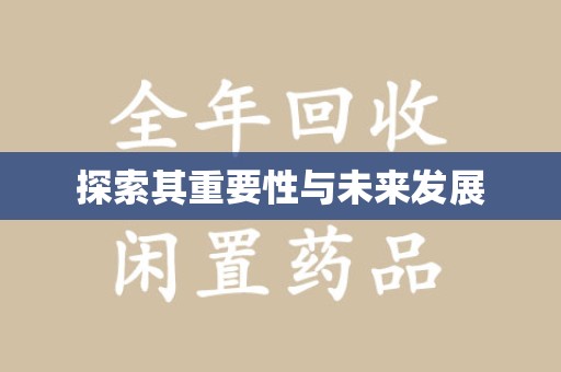 上海探索其重要性与未来发展