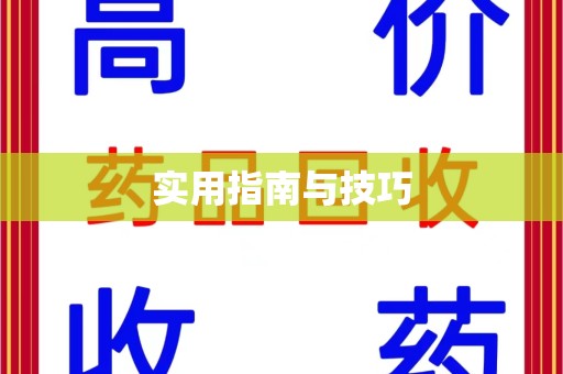 上海实用指南与技巧