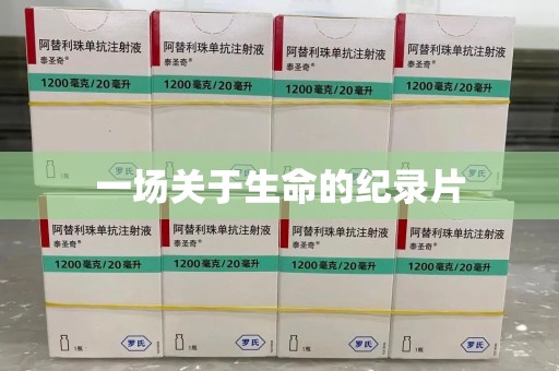 上海一场关于生命的纪录片