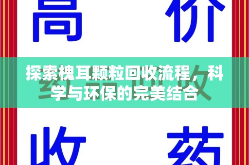 上海探索槐耳颗粒回收流程，科学与环保的完美结合