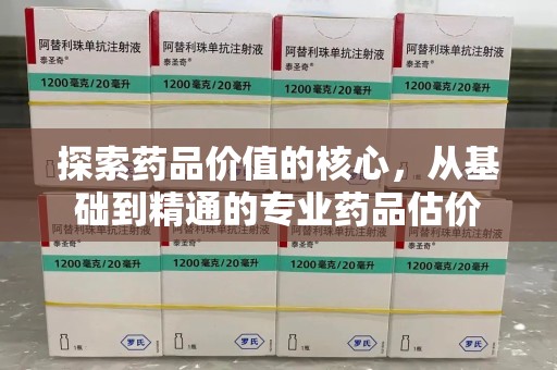 上海探索药品价值的核心，从基础到精通的专业药品估价