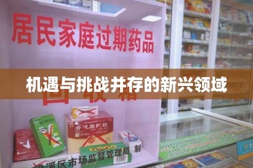 上海机遇与挑战并存的新兴领域