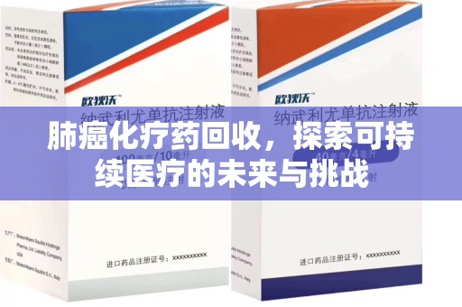 上海肺癌化疗药回收，探索可持续医疗的未来与挑战