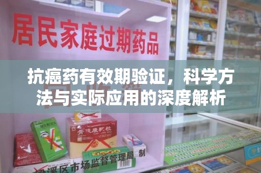 上海抗癌药有效期验证，科学方法与实际应用的深度解析