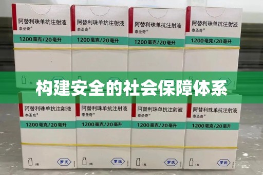 上海构建安全的社会保障体系