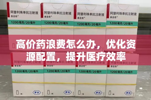 上海高价药浪费怎么办，优化资源配置，提升医疗效率