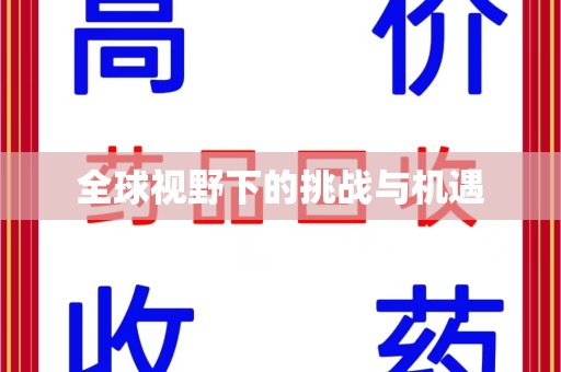 上海全球视野下的挑战与机遇
