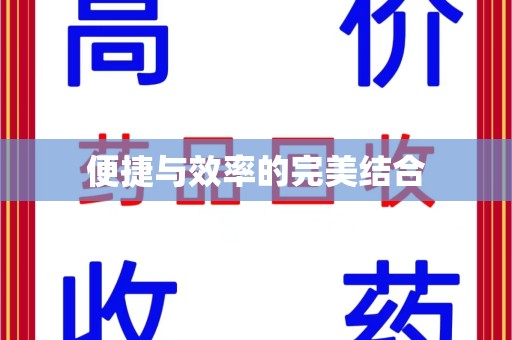上海便捷与效率的完美结合