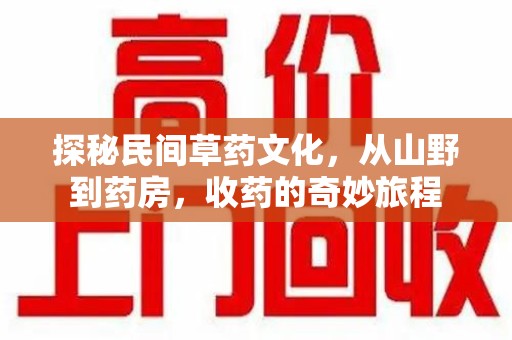 上海探秘民间草药文化，从山野到药房，收药的奇妙旅程