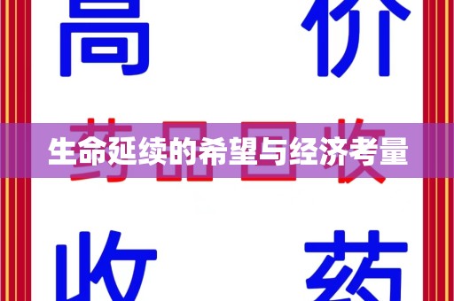 上海生命延续的希望与经济考量