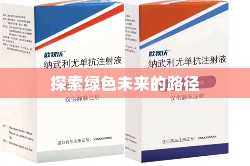 上海探索绿色未来的路径