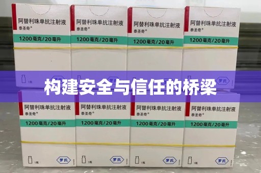 上海构建安全与信任的桥梁