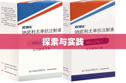 上海探索与实践