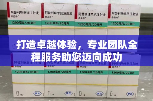 上海打造卓越体验，专业团队全程服务助您迈向成功