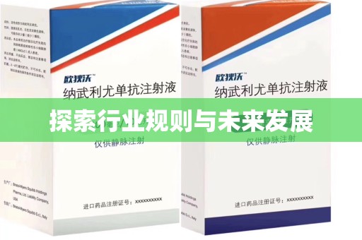 上海探索行业规则与未来发展