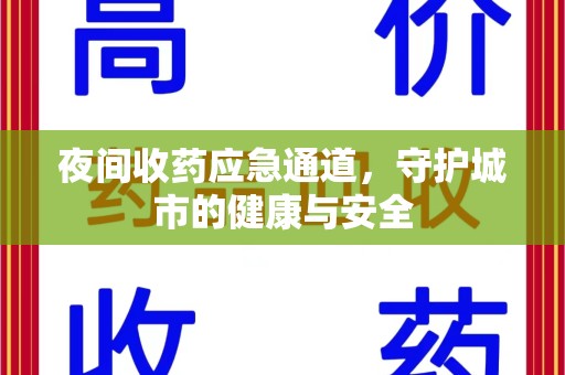 上海夜间收药应急通道，守护城市的健康与安全